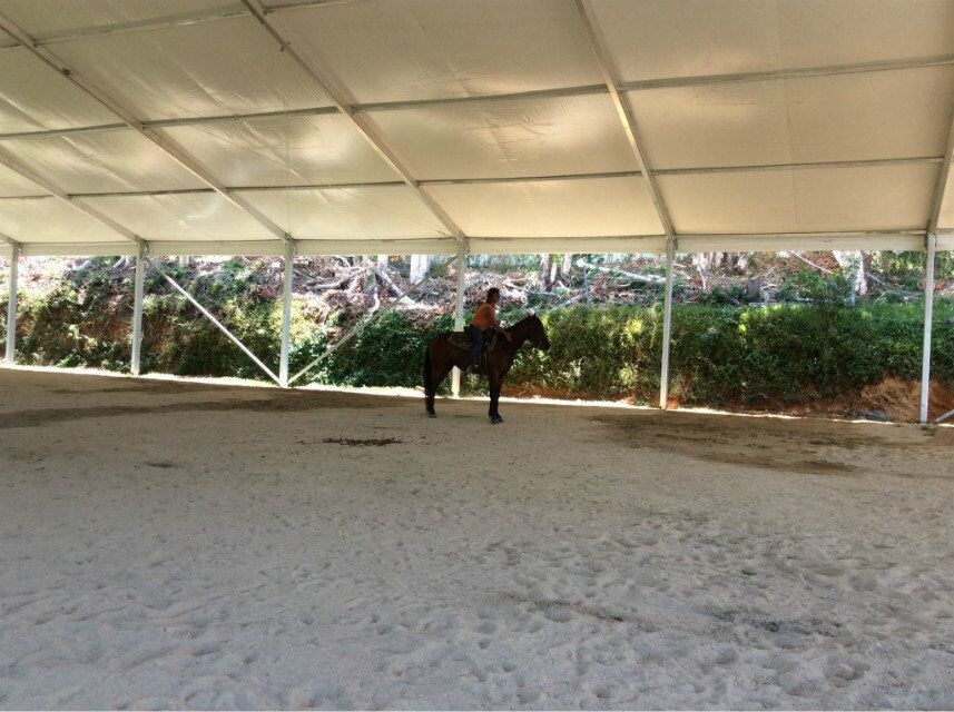 上海体育篷房厂家 定做球馆安检蓬 出售篮球场篷房 上海安检蓬租赁 上海篮球馆篷房厂家