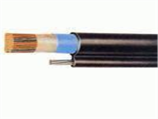 GS-HTPVRS电缆介绍  DJYPV电缆  HYA电话电缆  MHYV矿用电缆