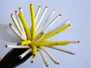 HSYVP22电缆控制专用  DJYPV电缆  HYA电话电缆  MHYV矿用电缆
