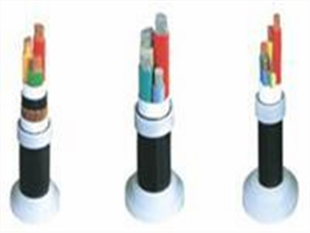 HSYVP22电缆华北专卖  DJYPV电缆  HYA电话电缆  MHYV矿用电缆
