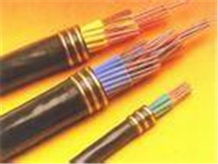 HSYVP22电缆生产厂家  DJYPV电缆  HYA电话电缆  MHYV矿用电缆