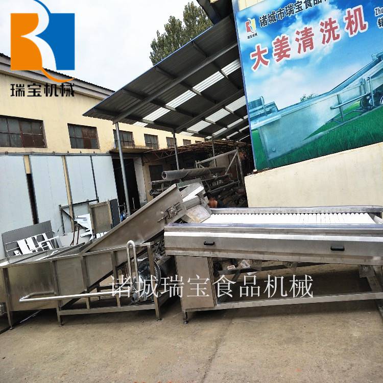 娃娃菜气泡清洗机  菠菜气泡清洗设备  青菜气泡清洗机  芹菜气泡清洗机