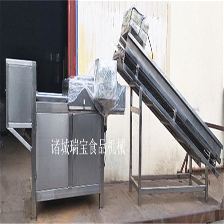 链板式物料提升机  连续式物料输送机  输送大姜设备  提升输送带