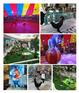 兴化市同城百鸟展出租客户至上