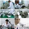 量具检测 测量工具校验量具校正