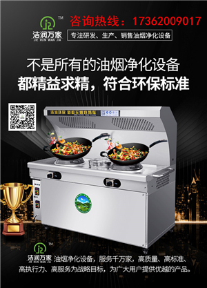 燃气款净化一体灶 厨房油烟净化灶洁润环保湖南郴州