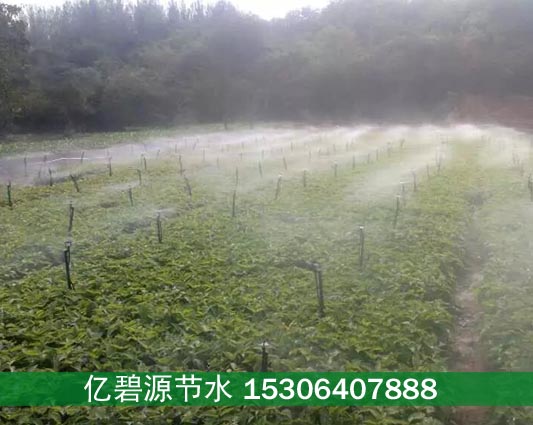 新乡大田蔬菜地插式旋转微喷头价格  地插式微喷头  新乡微喷头价格