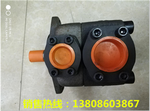 变量齿轮油泵CBKP63/40/32-BF价格行情  齿轮泵  高压齿轮泵