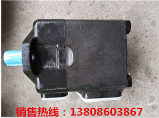 径向柱塞泵CBS-E532/F315-TLZ一级代理