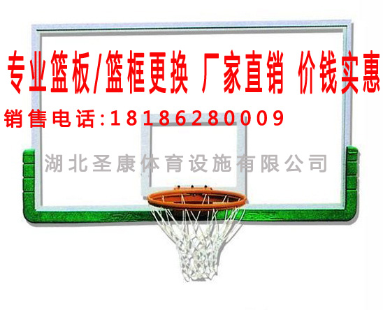 襄阳移动液压篮球架最新报价 湖北品牌篮球架厂家