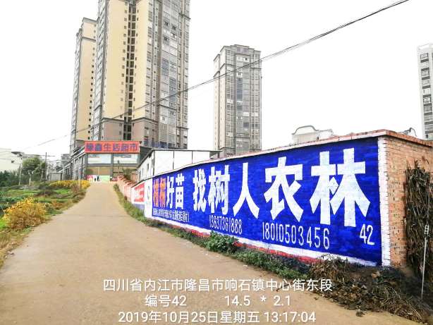 朵唯手机嘉峪关墙体广告喷绘让品牌更有范  陕西西安墙体广告  农村墙体广告  户外墙体广告