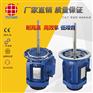 低温马达，3KW耐低温长轴电机YS100L2-4