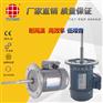 低温马达，1.1KW耐低温长轴电机Y290S-4