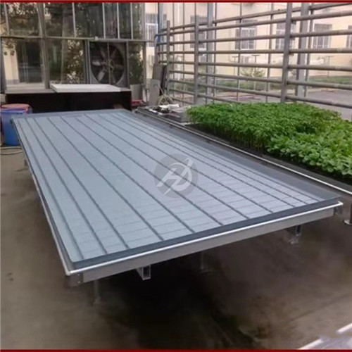 潮汐式种植苗盘 环保无毒 推广力度大  环保潮汐苗盘  ABS潮汐苗盘