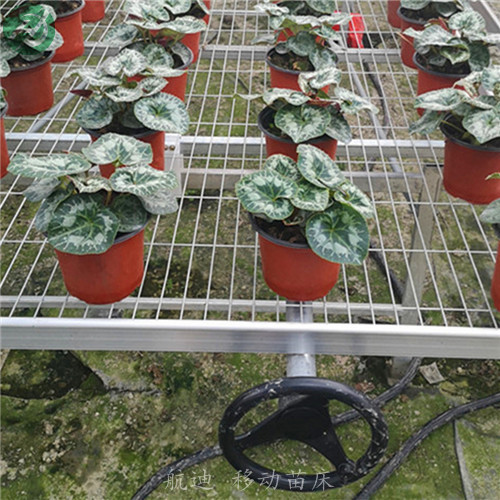 花卉滚动苗床常年加工-实体工厂 花卉苗床