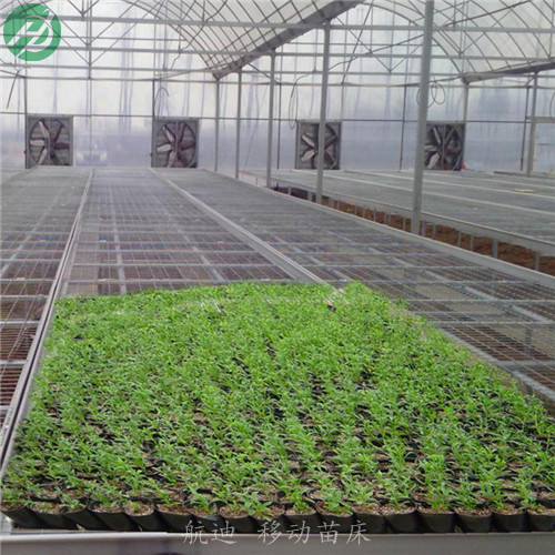 高标准移动育苗床量身定制-品质优良  育苗床厂家