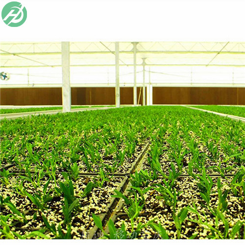 高标准移动育苗床量身定制-品质优良  育苗床厂家