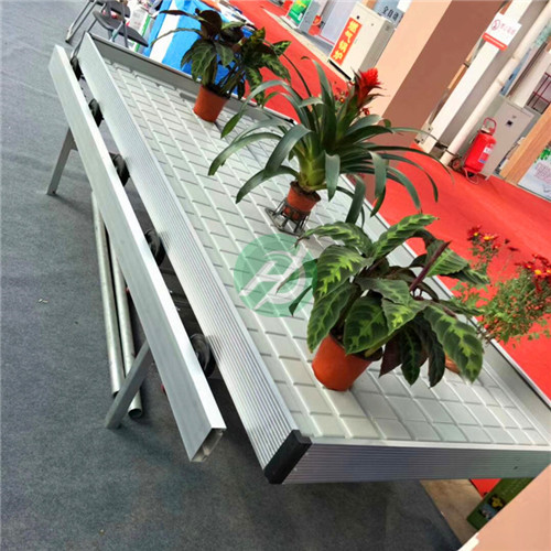 物流苗床 新式物流苗床 农业新方向  温室物流苗床
