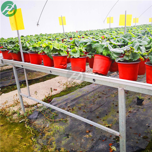 固定苗床 移动苗床 潮汐苗床区别