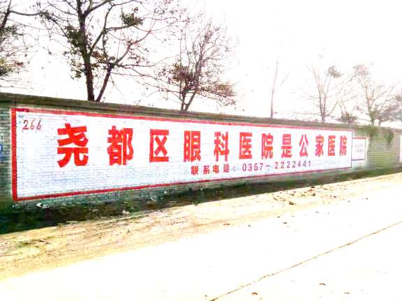 a2茂名户外墙体广告客户需求就是我们的工作标准  广东农村墙体广告