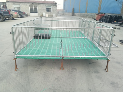 小猪保育床双体全复合保育床小猪断奶床
