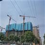 高层爬架网-建筑安全爬架网-建筑外围爬架网