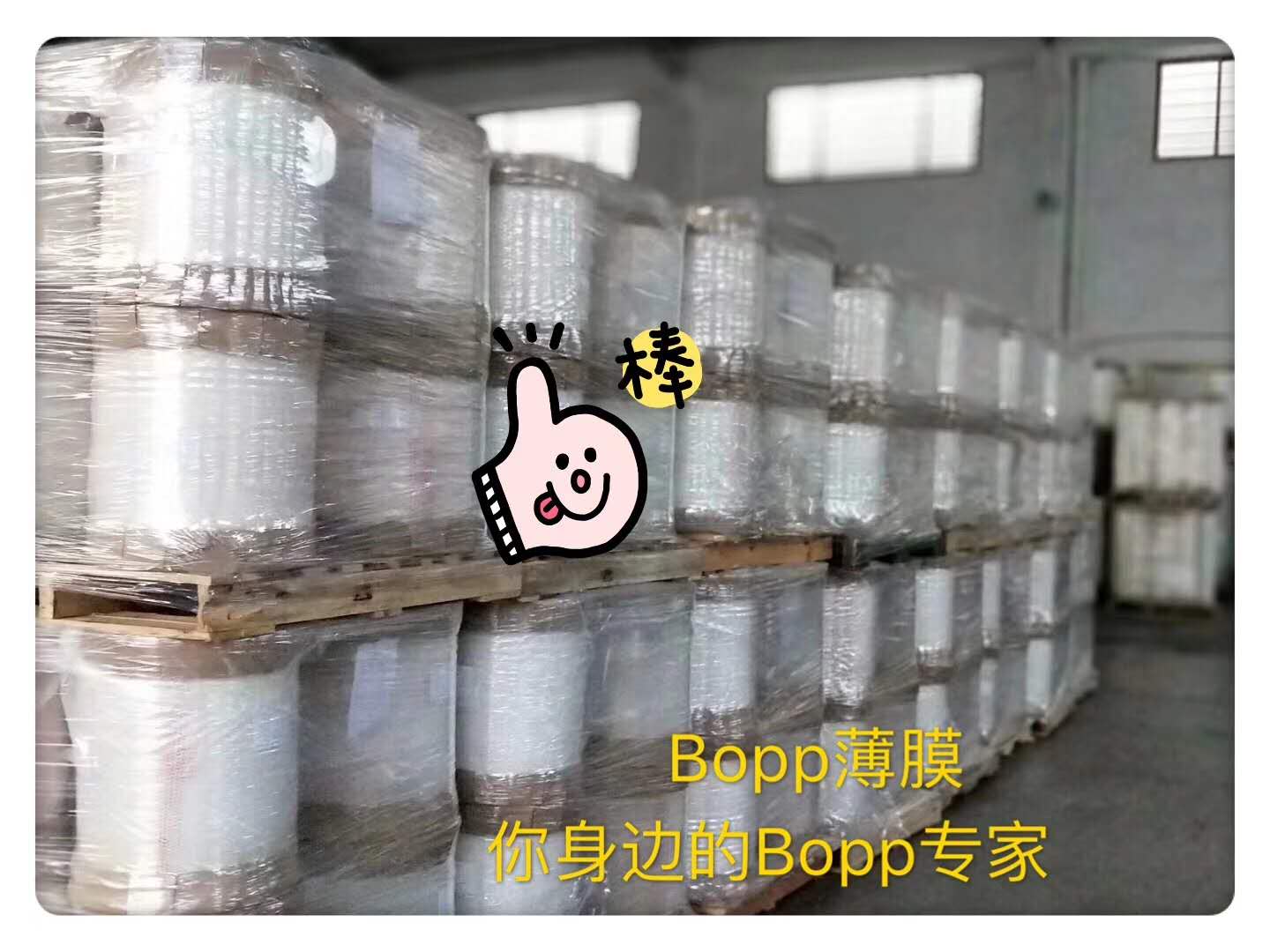上海厂家低价直销虫草豆芽金针菇opp双面防雾保鲜膜  豆芽双面防雾膜  opp阳光葡萄防雾膜  OPP3.5C防雾膜