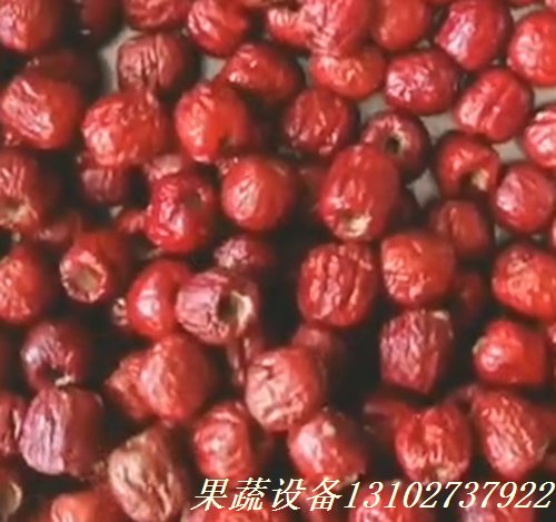 结构合理全自动牛油果去核机价格  全自动去核机