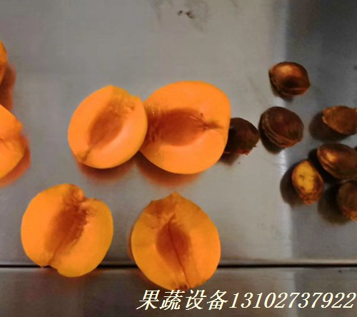 牛油果全自动连续式去核机  牛油果去核机  全自动去核机  去核机厂家