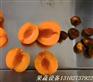 牛油果全自动连续式去核机