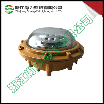 SW7153防爆LED应急灯，SW7153/LED/12W  SW7153尚为