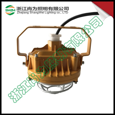 SW7153防爆LED应急灯，SW7153/LED/12W  SW7153尚为