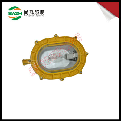 SW8100防爆泛光灯 SW8100防汛灯，救灾灯