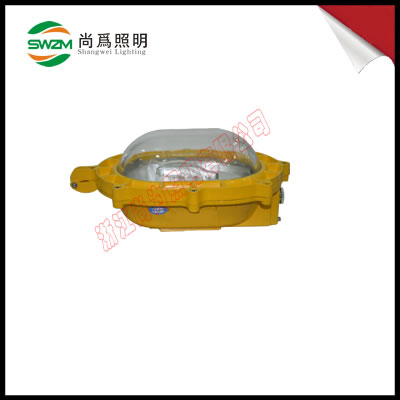 SW8100防爆泛光灯 SW8100防汛灯，救灾灯