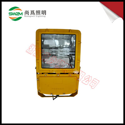 SW8100防爆泛光灯 SW8100防汛灯，救灾灯