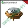 SW7153防爆LED应急灯，SW7153/LED/12W