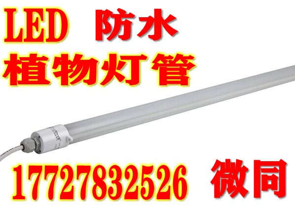 山东led植物灯管&nbsp;&nbsp;山东led植物补光灯管