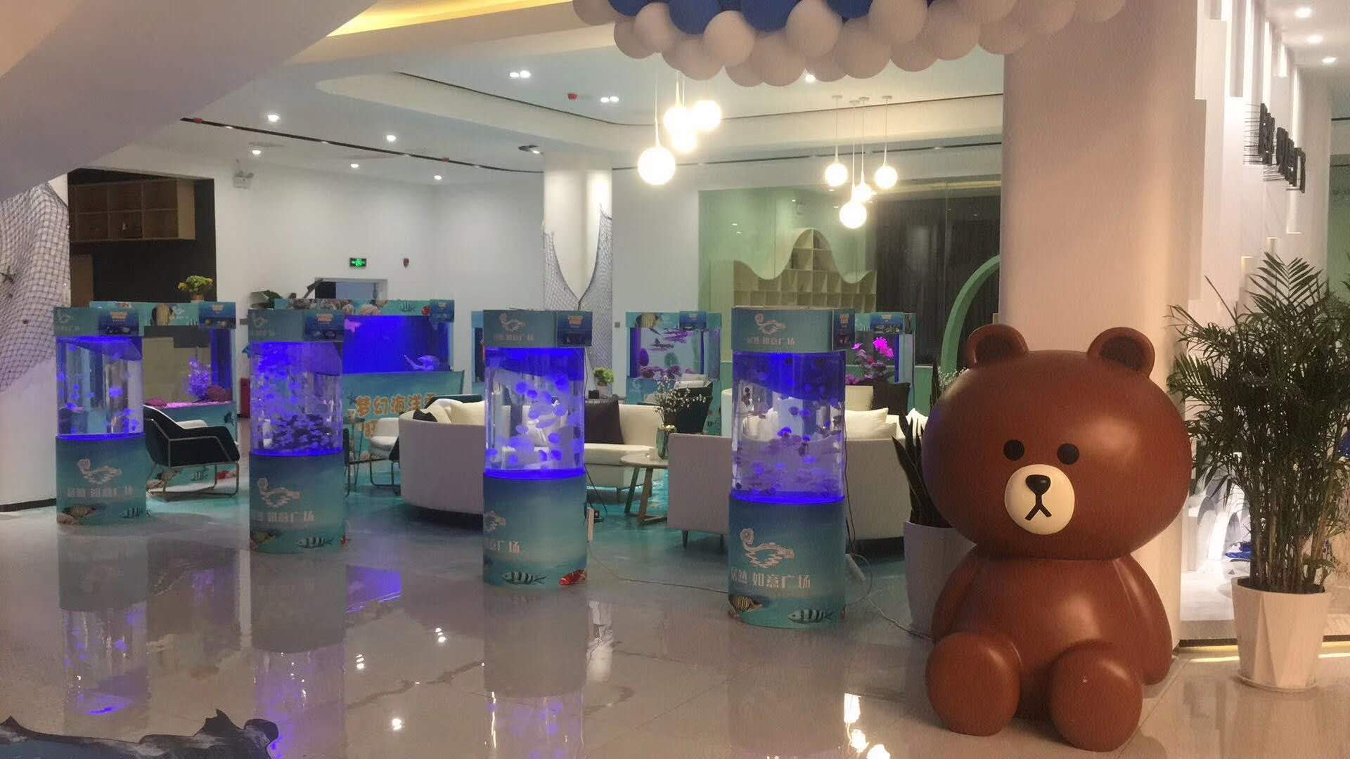 昆明矮马租赁
价个