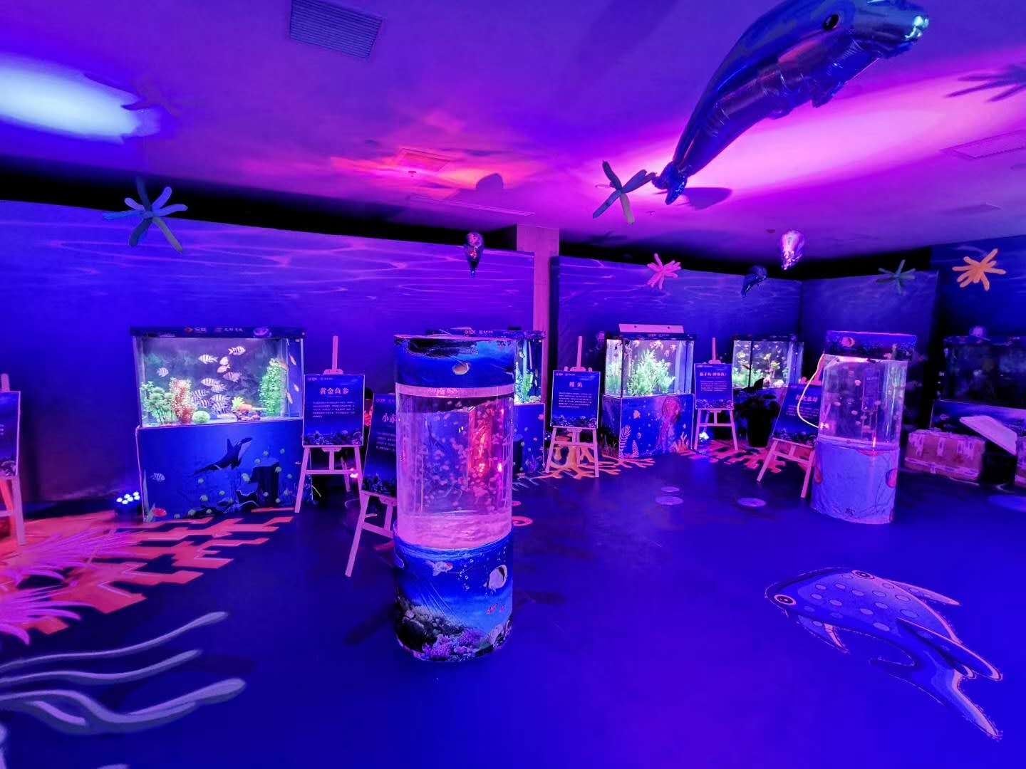 台湾 哪里做
演出效果  动物租赁  海洋生物展  百鸟展