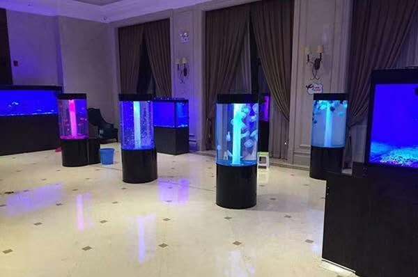 惠州海狮表演费用超低