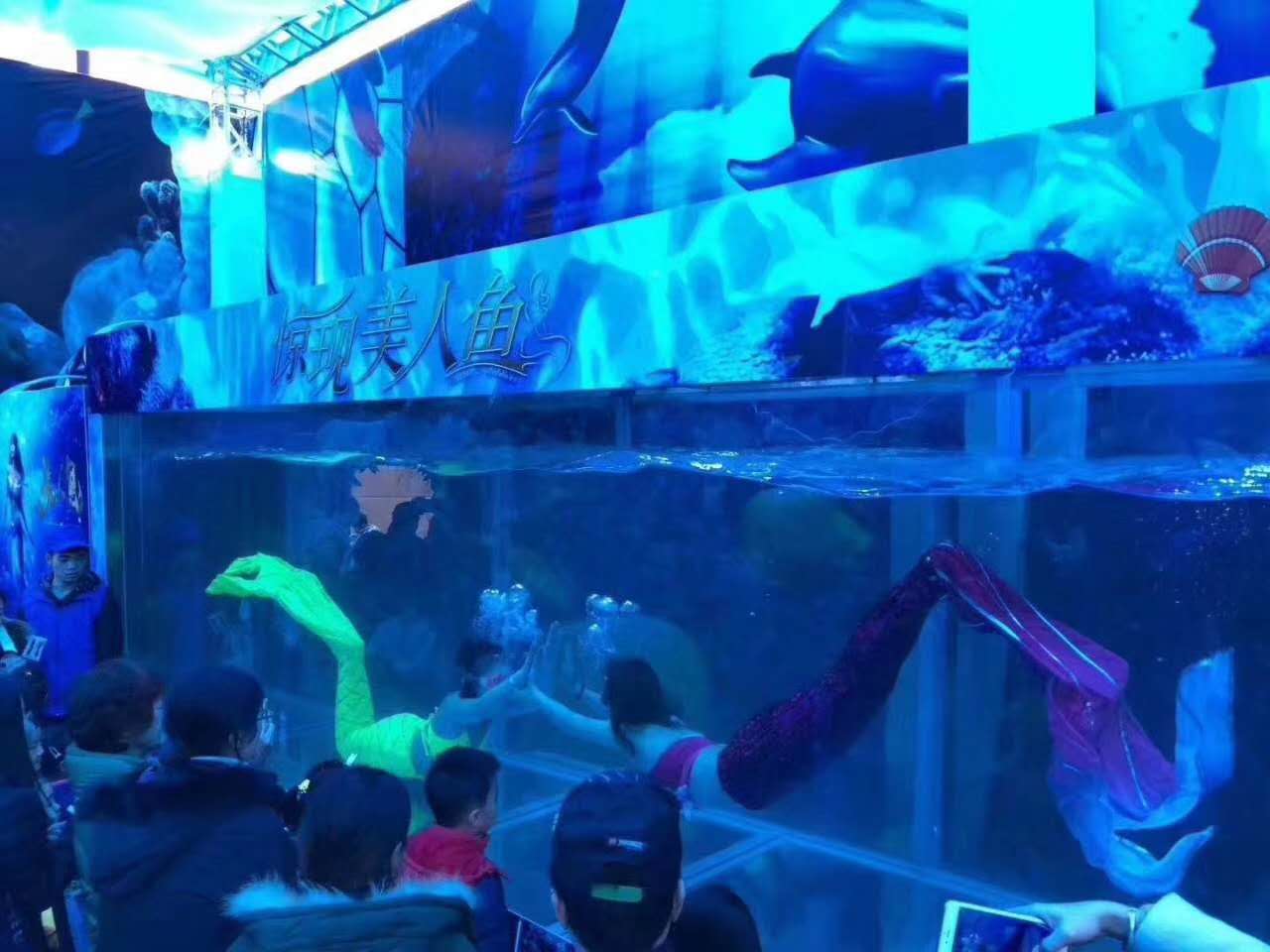 卢湾区矮马租赁
档期多多  动物租赁  海洋生物展  百鸟展