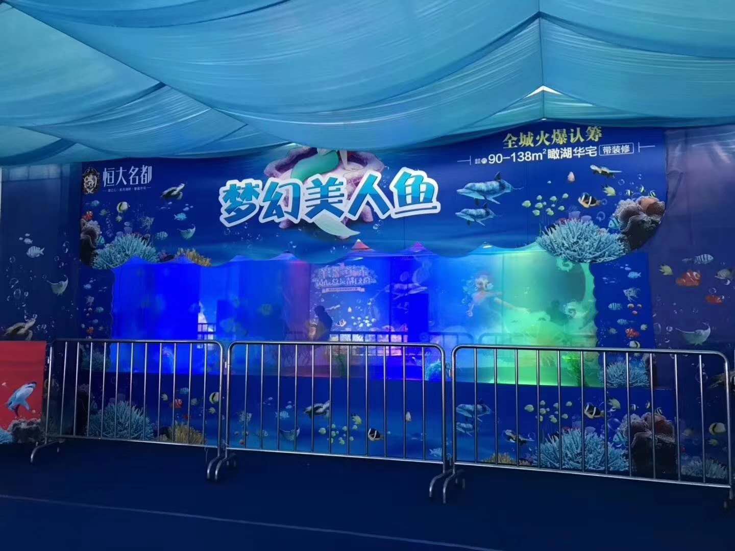 万盛区矮马租赁
价格优惠