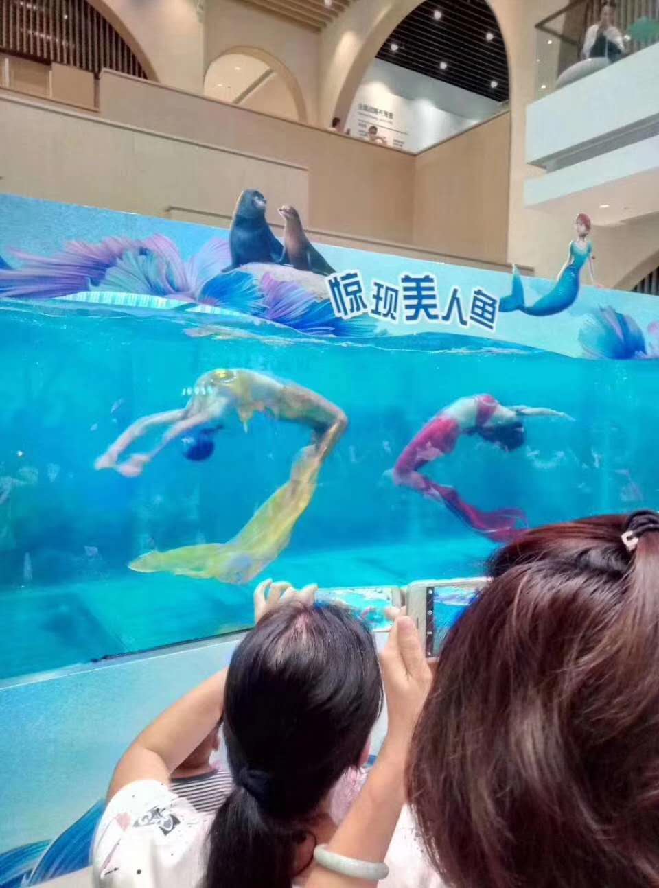 淄博
萌宠展档期多多