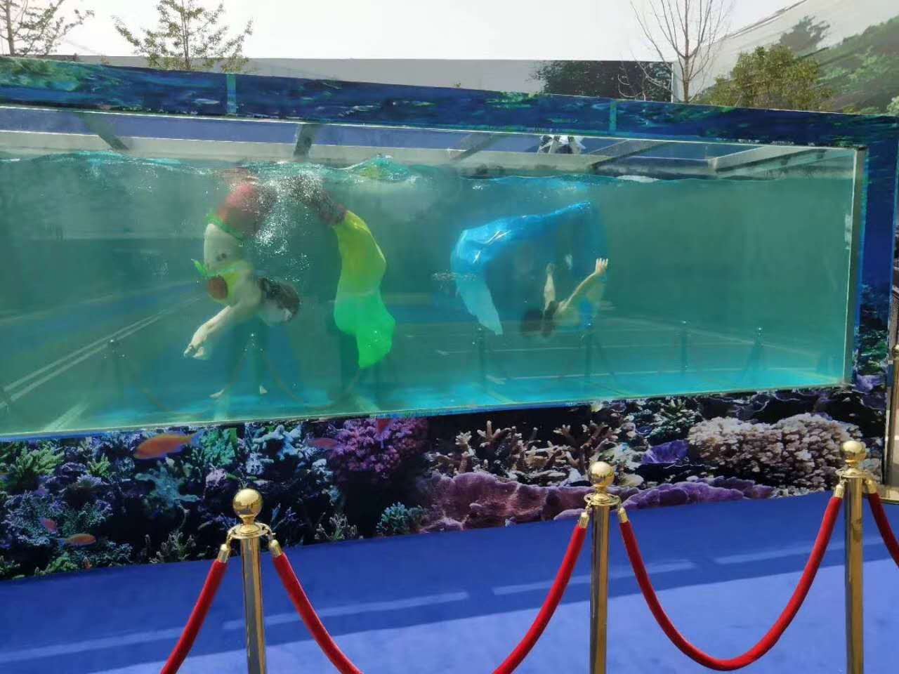 淄博
萌宠展现场效果怎么样