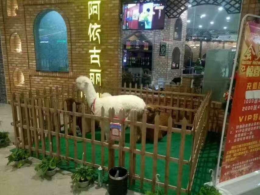 河源 现场效果怎么样
