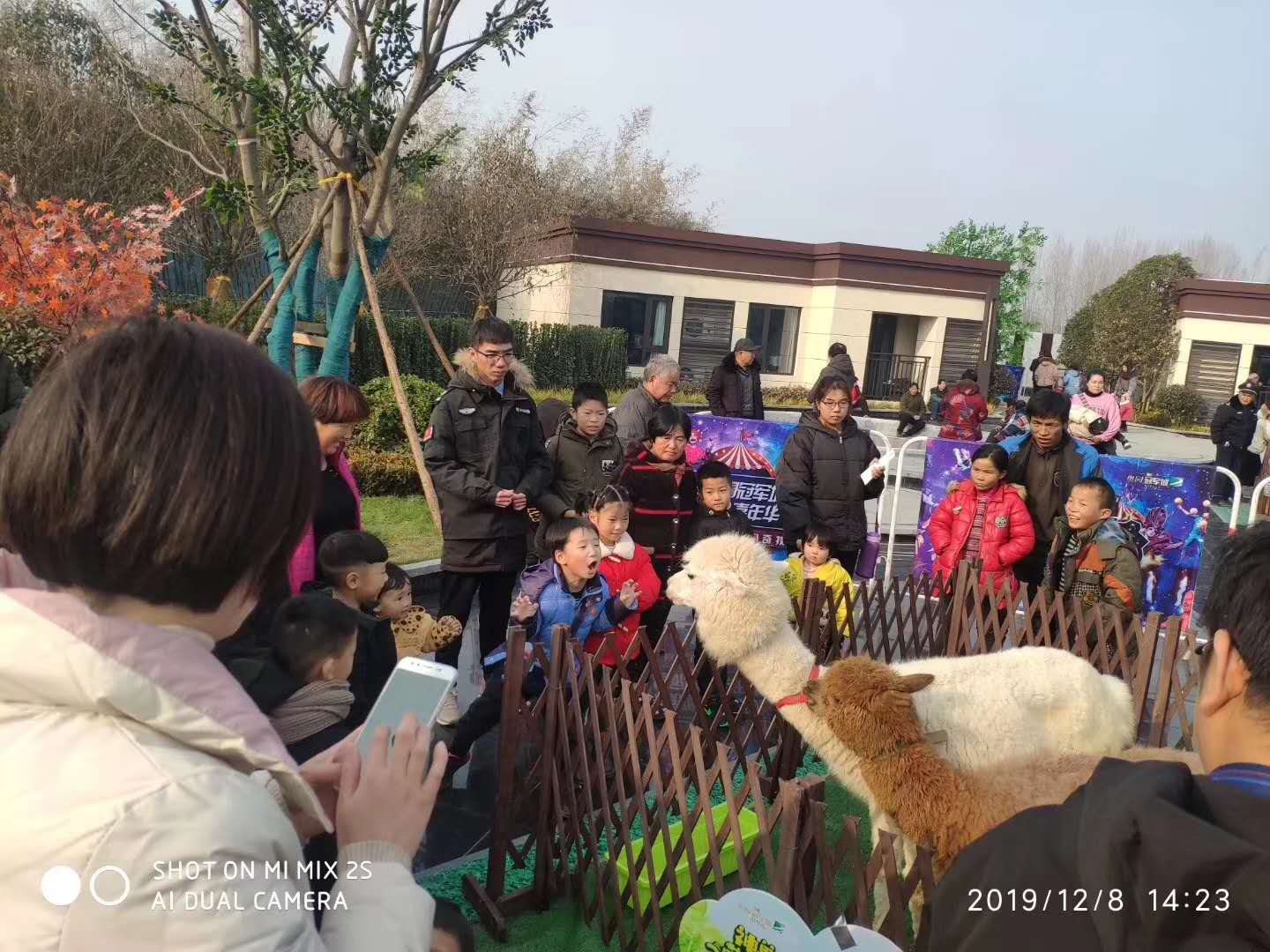 阜新海狮表演费用超低