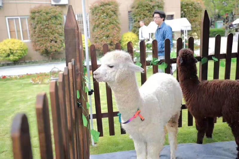 昭通 费用超低