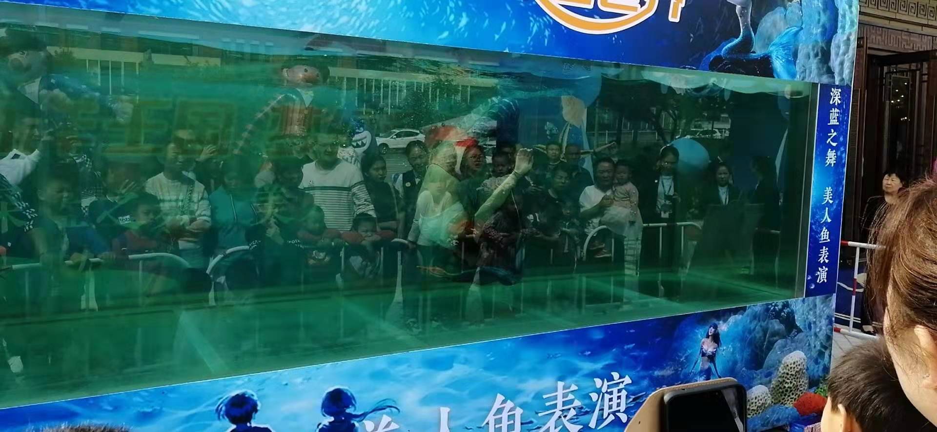 淄博
萌宠展档期多多