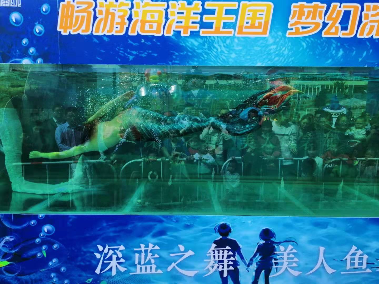 淄博
萌宠展档期多多
