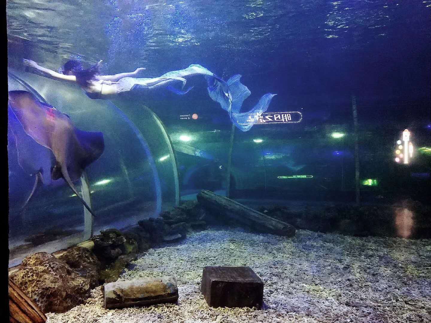 呼和浩特 一年的合作价格